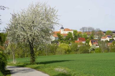 Blick nach Röhrsdorf - (2024 AW)